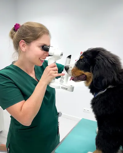 Przychodnia Weterynaryjna Smartvet